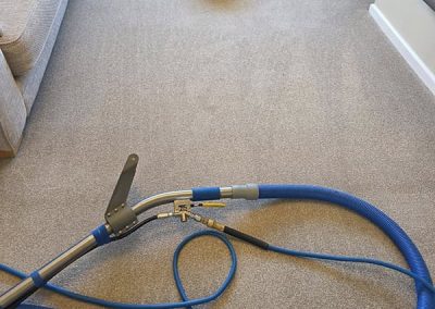 Carpet-Cleaning-Specialist.jpg
